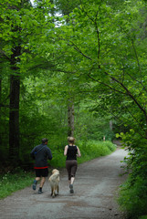 Obraz premium Couple de joggeurs avec leur chien en forêt