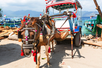 Gili transport © Galyna Andrushko