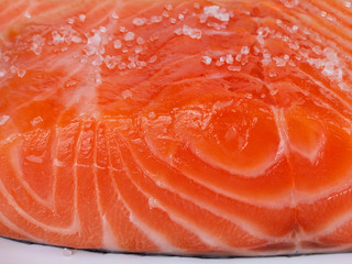 Fresh salmon isolated on a white background