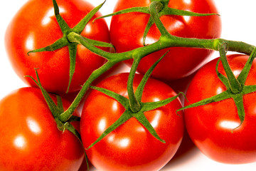 Bunch of ripe fresh red tomatoes
