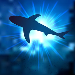 Fototapeta premium Shark