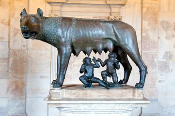 Stof per meter She-wolf - symbol of Rome © borzywoj