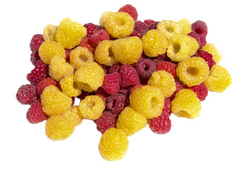 Handful of raspberries