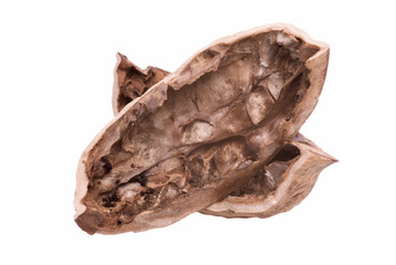 walnut shell isolated on a white background