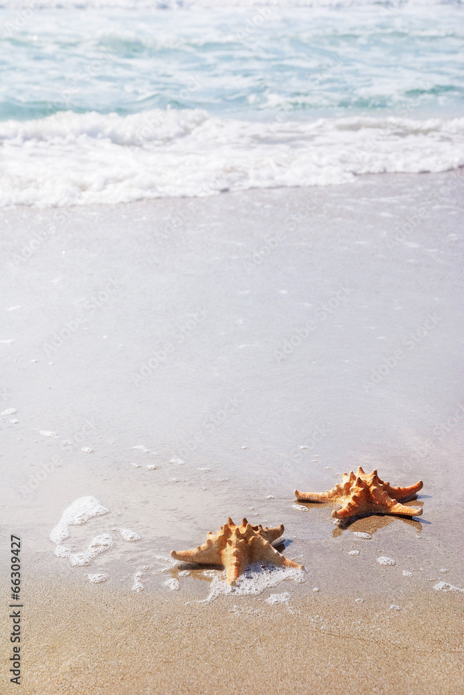 Poster two sea-stars on sand beach against waves