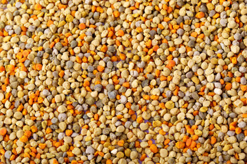 Bee pollen grain background