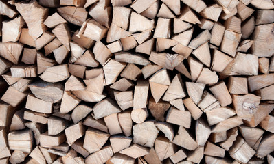 background of cutted pine logs