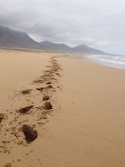 Fußspuren am Strand