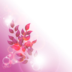 branch with red leaves