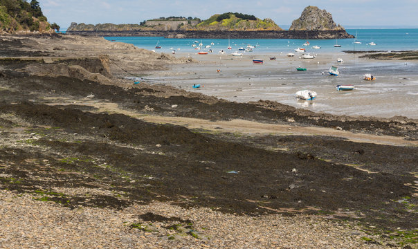 Port naturel &agrave; mar&eacute;e basse