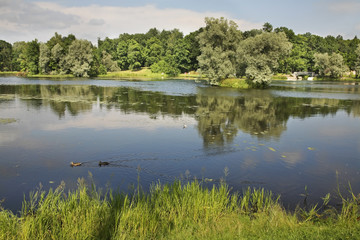 Fototapeta na wymiar Белое озеро в Дворцовом парке. Гатчина. Россия