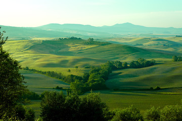 Fototapeta na wymiar typical Tuscany landscape, Italy