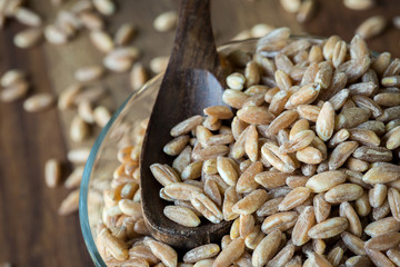 Farro
