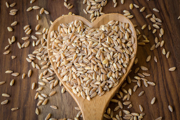 Farro