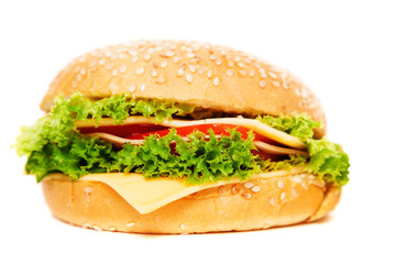 Delecious hamburger isolated on white background