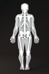 Corpo umano sezione sagoma ossa scheletro