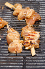 Grilled chicken skewers