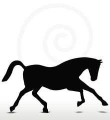 horse silhouette in running position