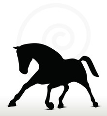 EPS 10 Vector - horse silhouette in running position