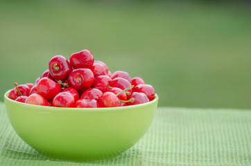 Juicy cherry on garden