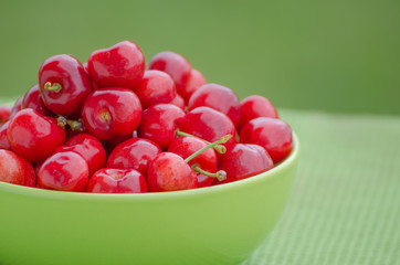 Juicy cherry on garden