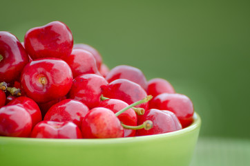 Juicy cherry on garden