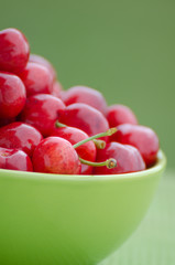 Juicy cherry on garden