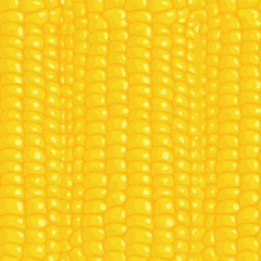 seamless texture corn © roman4