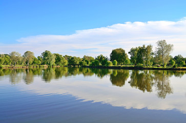 Beautiful landscape, forest and river