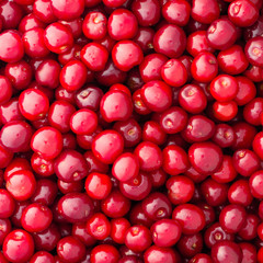 red cherry background