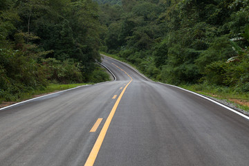 Fototapeta na wymiar The road through the rainforest