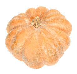 Pumpkin isolated on white