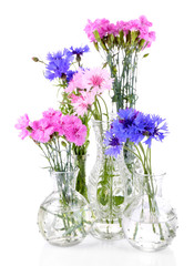 Beautiful summer flowers in vases, isolated on white