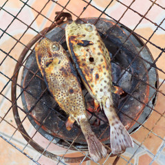Puffer on the grill