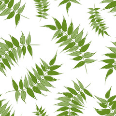 Fototapety  Green leaves seamless pattern for your design