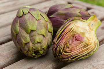 Violet artichoke