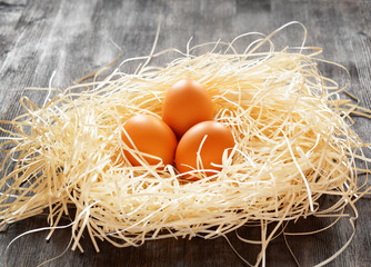 Chicken eggs in a nest