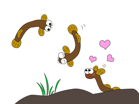 87 Best どじょう Images Stock Photos Vectors Adobe Stock