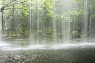 Fototapeta premium 鍋ヶ滝の落水と緑