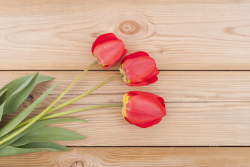 Fototapeta na wymiar Tulips on wooden background.