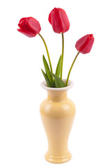 Tulips in a vase on a white background.