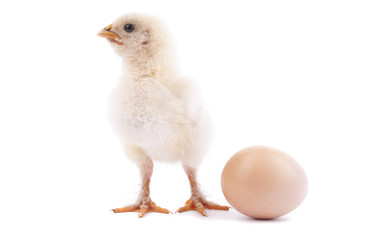 Chicken and egg.