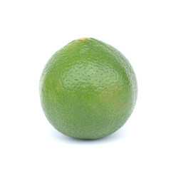 Citrus lime fruit isolated on white background