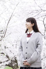 桜の木の前で立つ女子高生