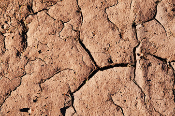 cracked dried ground