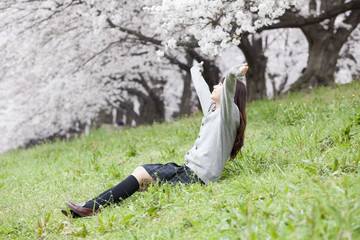 桜の木の前で座る女子高生