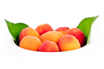 Fresh apricots in the white bowl isolated