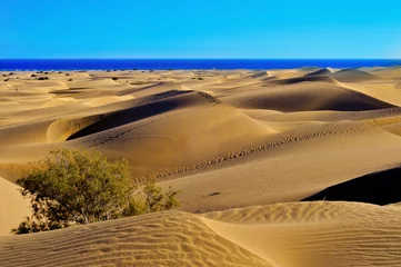 Zelfklevend Fotobehang Natural Reserve of Dunes of Maspalomas, in Gran Canaria, Spain © nito