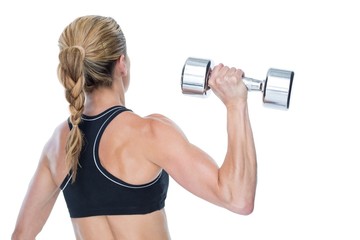 Obraz na płótnie Canvas Female bodybuilder holding a large dumbbell rear view