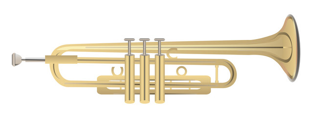 Fototapeta premium Trumpet